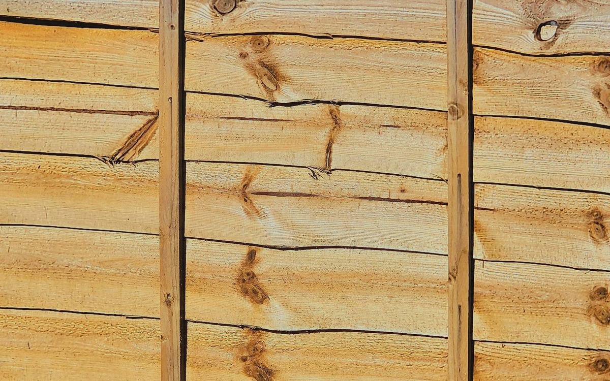 Newly fitted overlap timber fence panel in sunlight