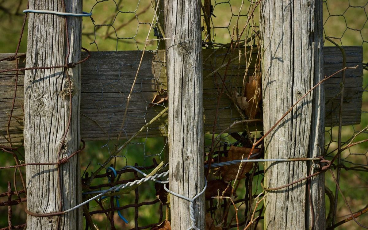 Old timber fence posts with wire netting in need of repair
